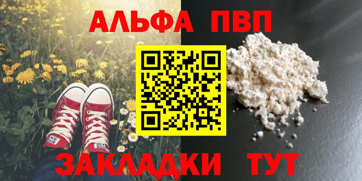 Alfa_PVP СК Саратов