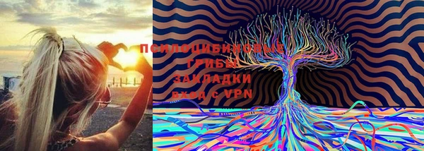 сатива Абдулино