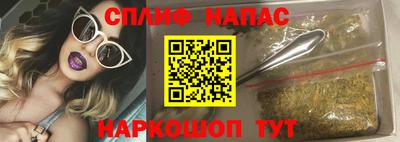 стаф Тверь