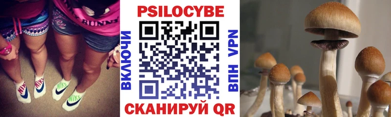 kraken как войти  купить   Саратов  Псилоцибиновые грибы прущие грибы 