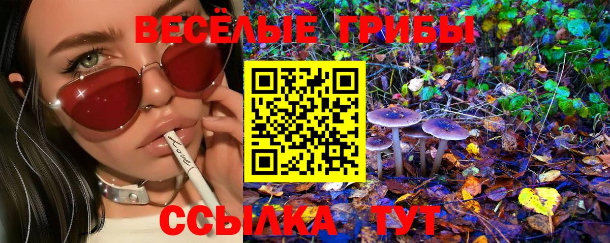 Галлюциногенные грибы мицелий  Вход с VPN  Саратов 